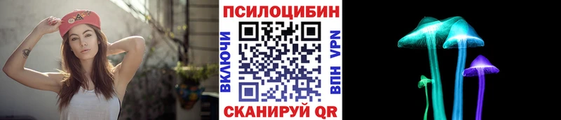 Галлюциногенные грибы Psilocybine cubensis  Ядрин 